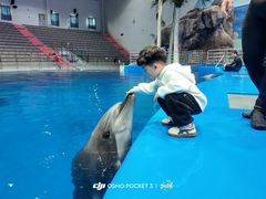 -福州罗源湾海洋世界旅游区