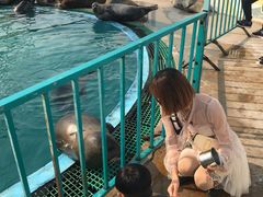 -北戴河圣蓝海洋公园