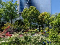 -东方体育中心(地铁站)