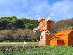 -苏州上方山国家森林公园