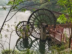 -重庆彩云湖湿地公园