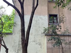-颐和路民国时期公馆风貌区