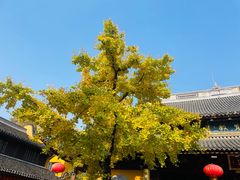 -龙华寺