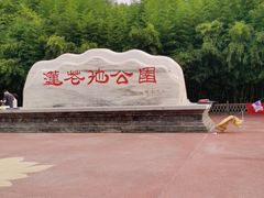 -莲花池公园