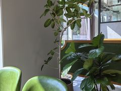 -YAFEE雅菲·粤菜·湘菜·融合菜(魏公村店)
