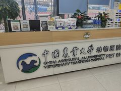 -中国农业大学动物医院