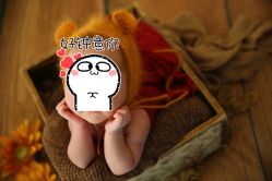 -星妈汇国际月子中心(龙珠店)