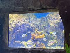 -南昌融创海世界