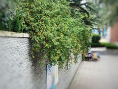 -贮水山儿童公园