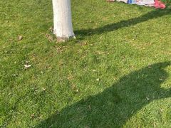 -重庆市江北嘴中央商务区中央公园