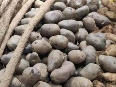 -永辉超市(龙潭寺店)