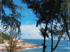 -广东惠东海龟国家级自然保护区