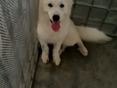 -火炉山森林公园