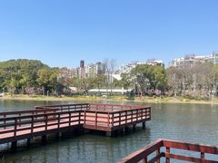 -新江湾城公园