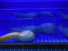 -丈母娘的饭局•新金陵菜(牛首山店)