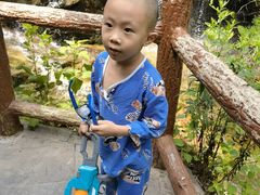 -王顺山国家森林公园