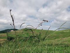 -恋山坝上草原