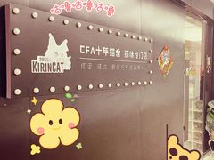 -十年猫舍·猫咪专门店(普陀店)