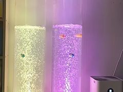 -东方启音·儿童康复中心·自闭症干预·语言迟缓·发育迟缓(深圳宝安中心)