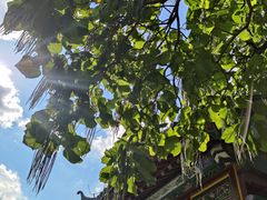 -张学良旧居陈列馆