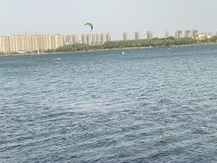 -丁香湖公园
