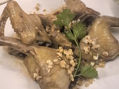 -百利鸽王(紫薇路店)