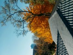 -辽宁大学(崇山校区)