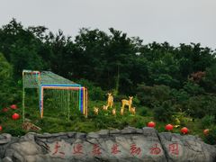 -大连森林动物园