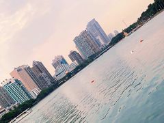 -白鹭洲公园