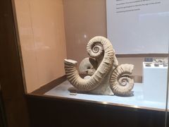 -抱璞文化展示中心