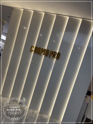 -COSMO PRO造型