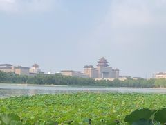 -莲花池公园