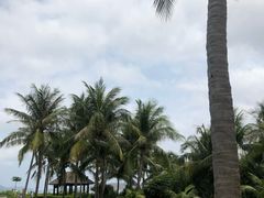 -亚龙湾红树林度假酒店-韩轩韩餐厅