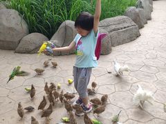 -北戴河集发农业梦想王国