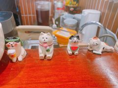 -伽喱博士 Dr.CURRY咖喱饭(太阳宫咖喱店)