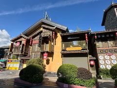 -老凯俚酸汤鱼(多彩城店)