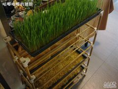 -天厨妙香素食餐厅(清华店)