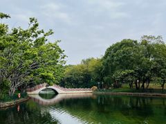 -深圳龙潭公园