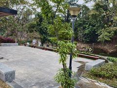 -中山市树木园