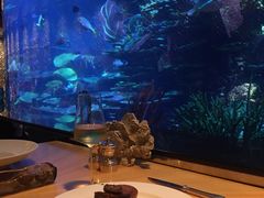 -迪拜帆船酒店海底餐厅