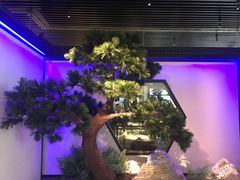 -绿茶餐厅(成都大悦城店)