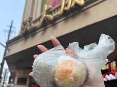 -沈大成(南京东路店)