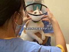 -御宝贝24h宠物医院·转诊中心·CT核磁血透中心(厦门总院)
