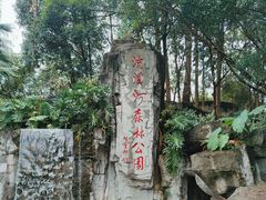 -广州市流溪河国家森林公园