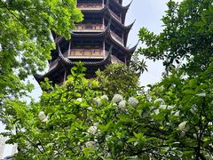 -红梅公园