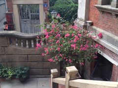 iphone_upload_pic-杨桃院子旅馆(厦门鼓浪屿中华红墨店)