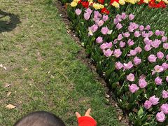 -上海鲜花港