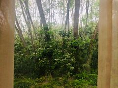 -春兰国宾馆(凤城河风景区老街店)