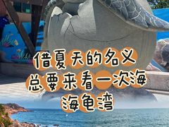 -广东惠东海龟国家级自然保护区