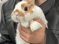 -404干式熟成牛排馆•聚会餐厅